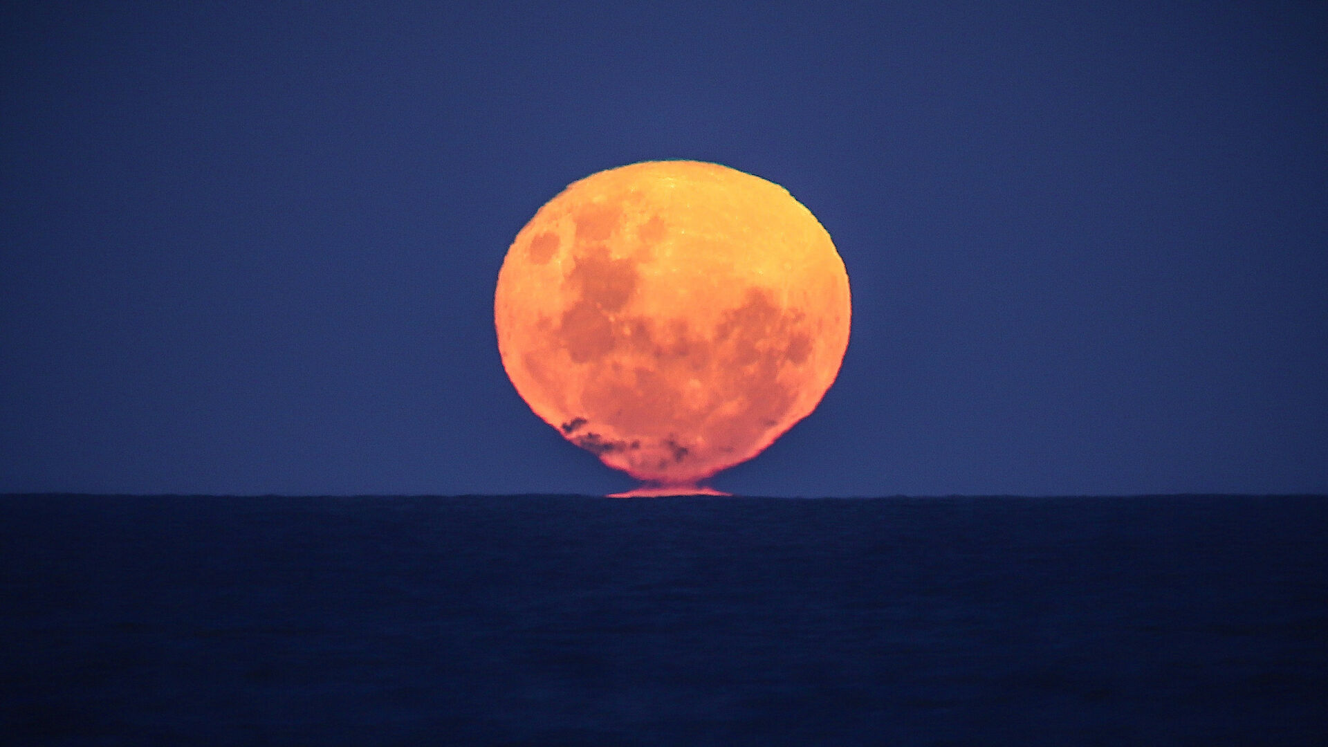 Strawberry Moon